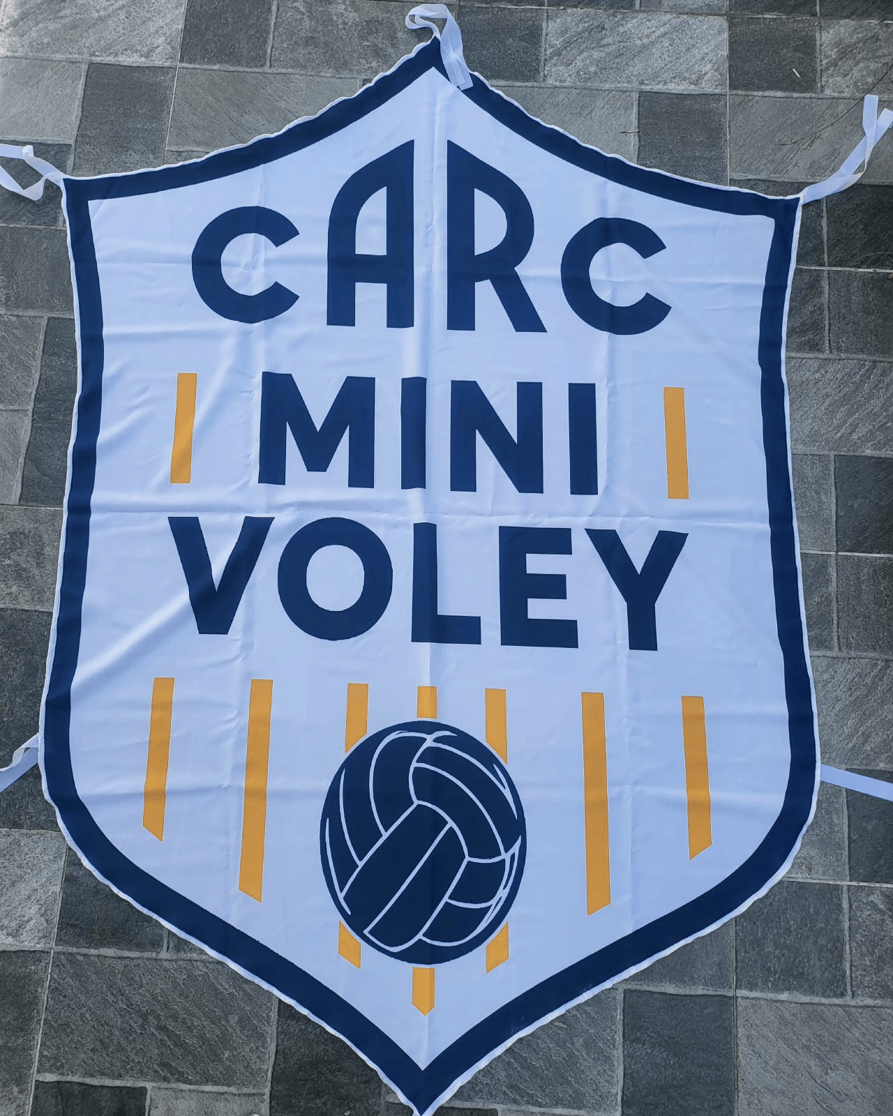 Camiseta y Escudo 13