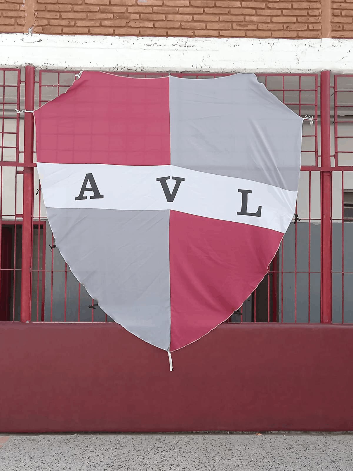 Camiseta y Escudo 7