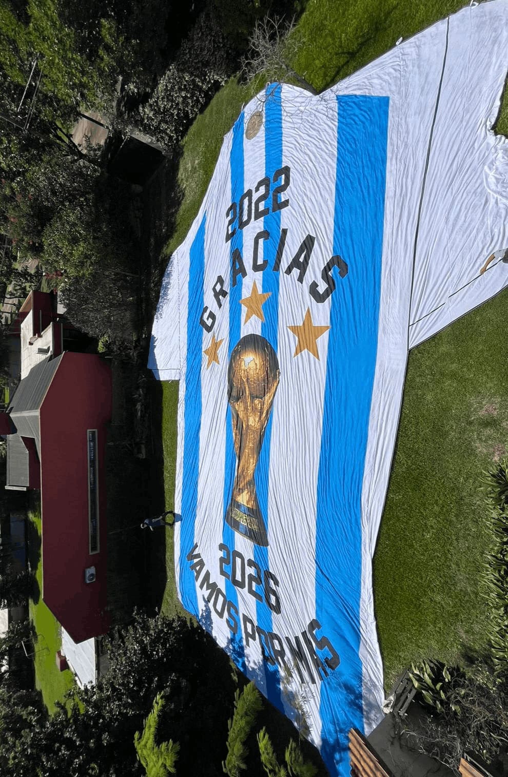 Camiseta y Escudo 8